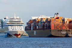Elbe_0365