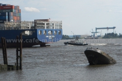 Elbe_0420