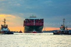 Elbe_0630