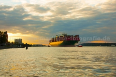 Elbe_0642