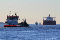 Elbe_1431