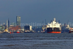 Elbe_5113