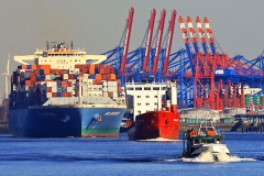 Elbe_5830