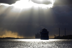 Elbe_6443
