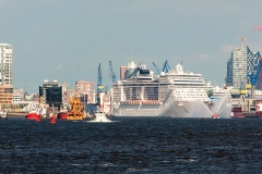 Elbe_8673
