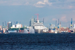 Elbe_8677
