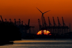 Elbe_C9794