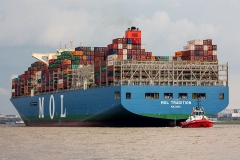 MOL Tradition_C9584_1
