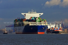 CMA_CGM_Georg_Forster_5730