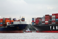 CMA_CGM_Violet_0622