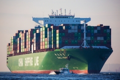CSCL Venus_C0806