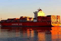 Cap Jervis_4162