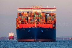 Cosco Shipping Aries_C9819