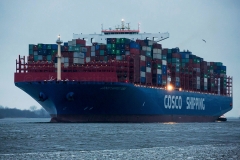 Cosco Shipping Taurus_D0284