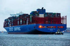Cosco Shipping Taurus_D0297