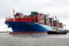 Cosco Shipping Taurus_D0330