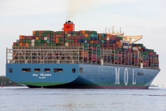 MOL Triumph_C3246