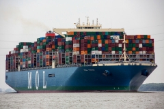 MOL Trust_C6616