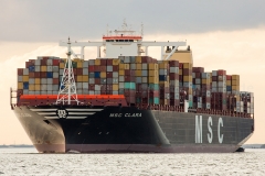 MSC Clara_C1334