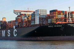 MSC Diana_PE1243