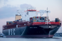 MSC Maya_C0929
