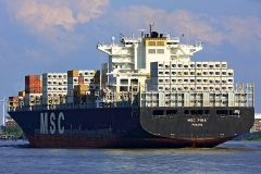 MSC Pina_8779