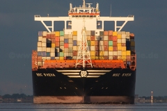 MSC Sveva_9215