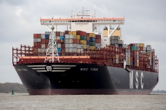 MSC Tina_C2299