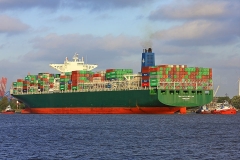 Thalassa Hellas_8561