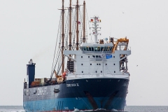 Combi Dock III_C6896