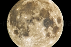 Mond_31.01.2018_3