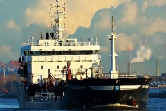 Falstria Swan_3531