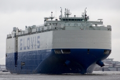 Glovis Champion_7624