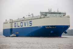 Glovis Sunrise_6321