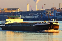 Hera_4154