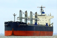 Western Harmony_5656