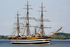 Amerigo Vespucci_D9822