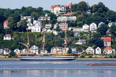 Amerigo Vespucci_D9870