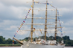 Ara Libertad_C5834