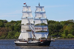 Mercedes_8999
