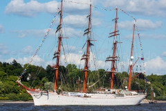 Sedov_F3146