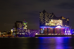 Elphi_C0377