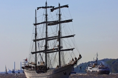 Artemis_7410