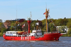 Elbe 1_6954