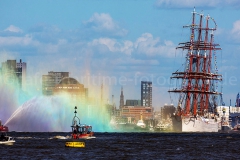 Sedov_F3131