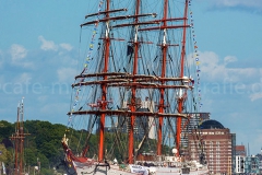 Sedov_F3138