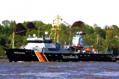 Seeadler_7471