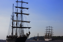Thalassa_7383