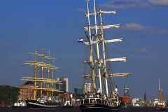 Thalassa_7388