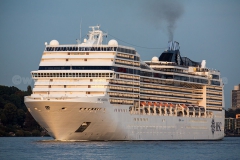 MscMagnifica_5087